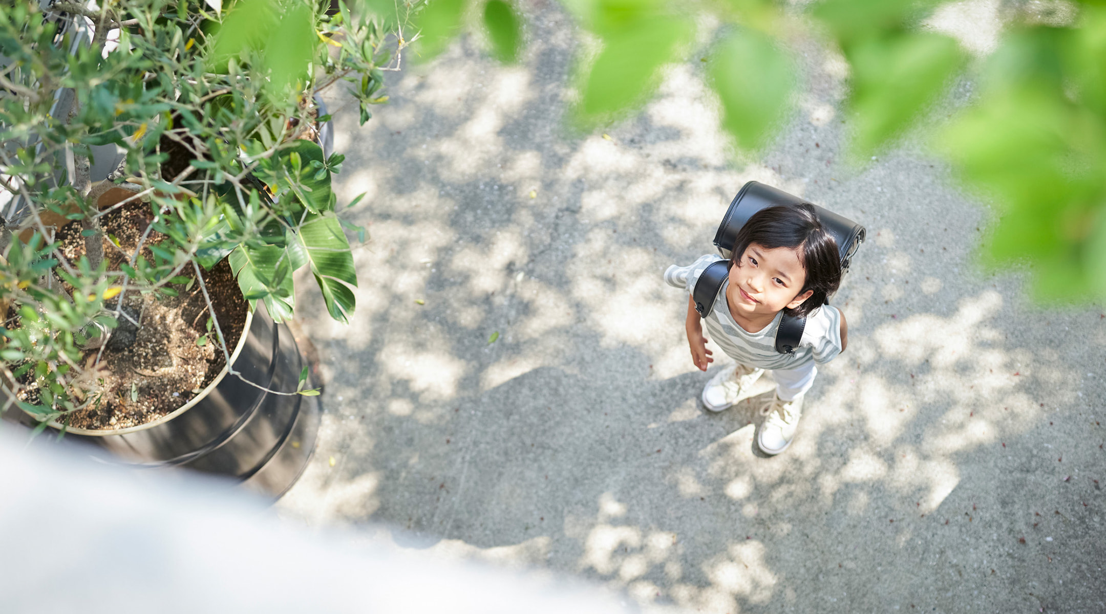 優しく、麗らかに。