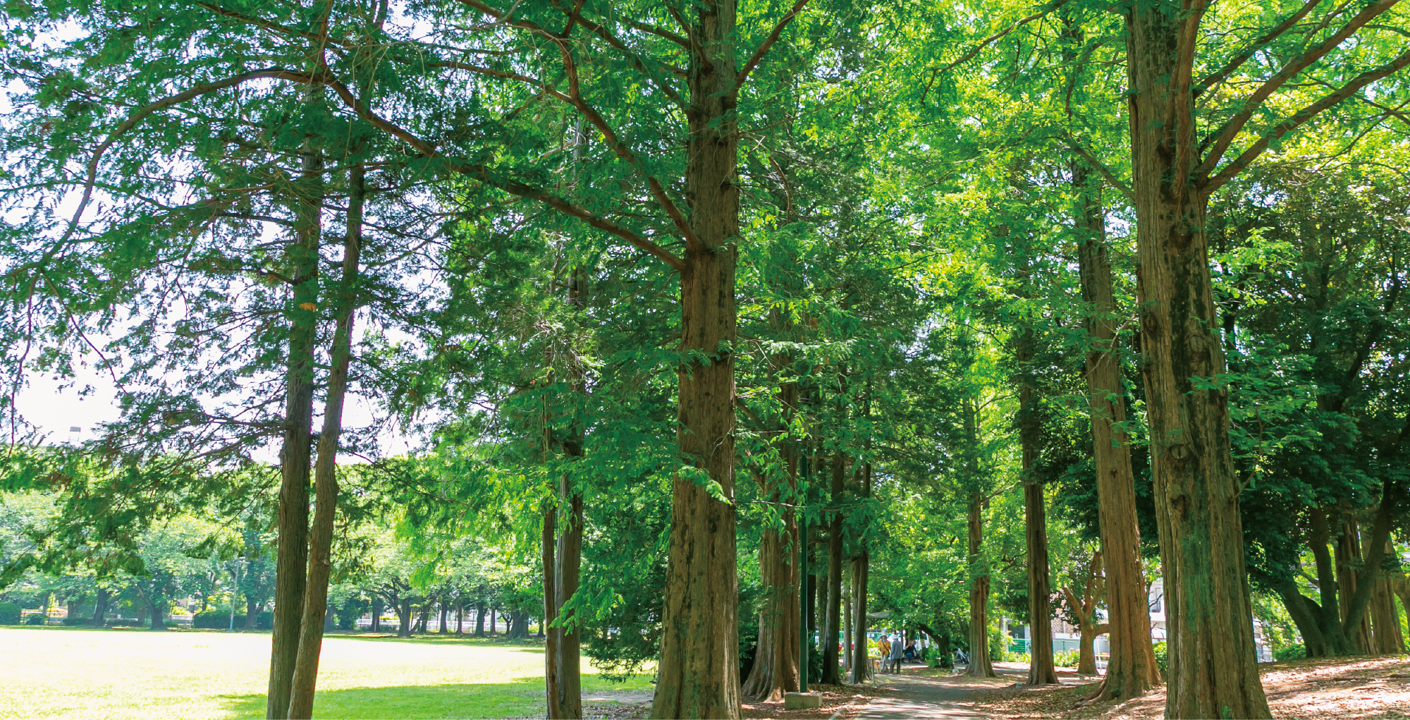 南越谷第一公園(徒歩9分/約670m)