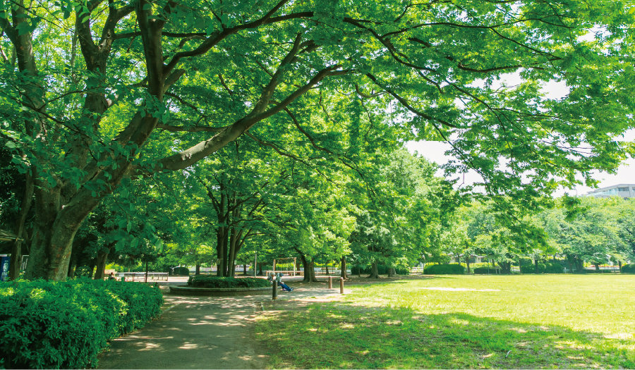 南越谷第一公園
