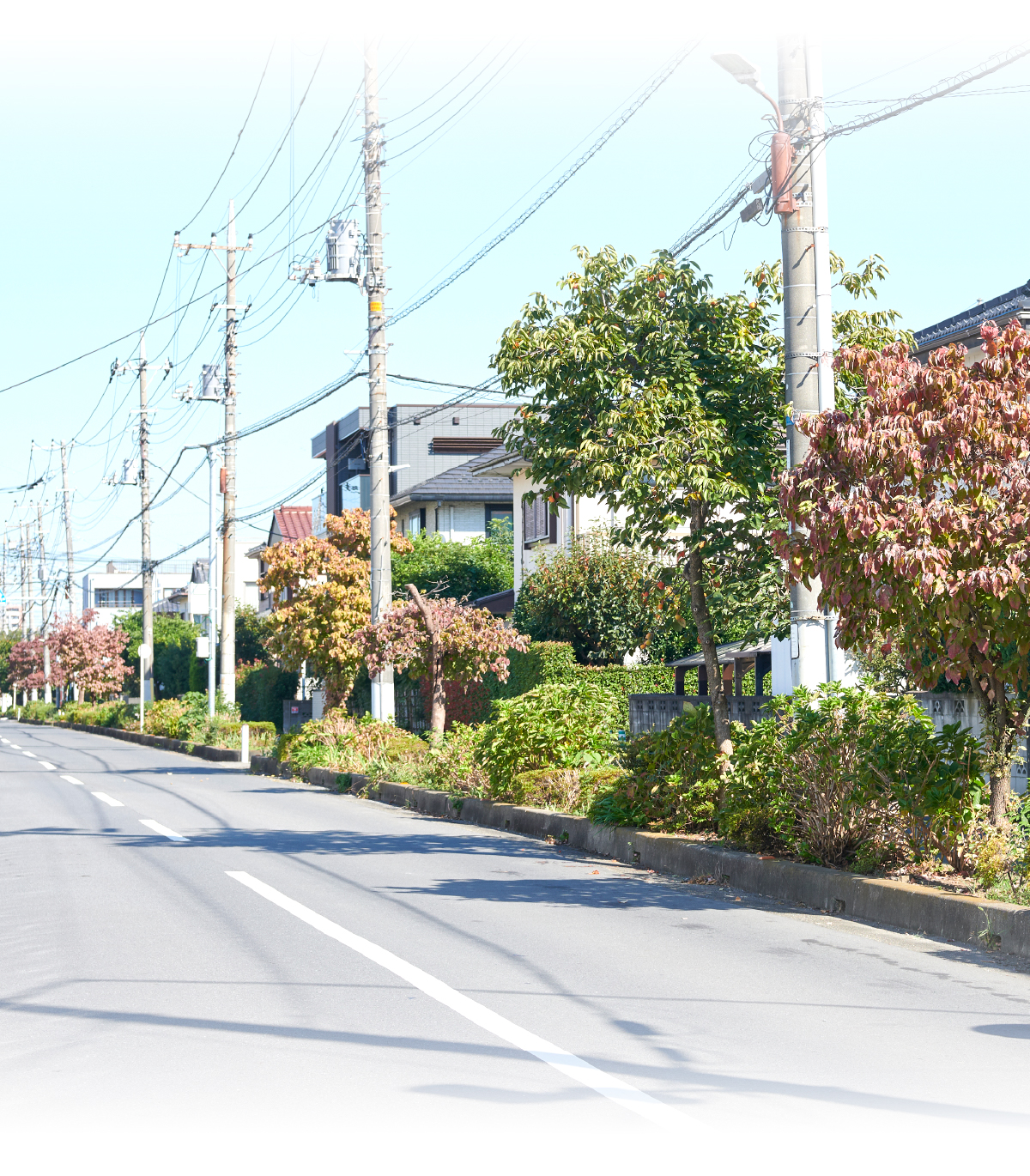 現地周辺街並みイメージ